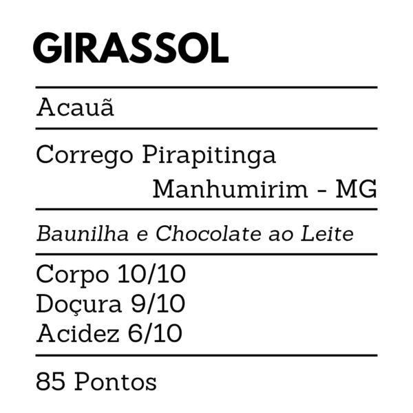 Girassol - Image 2